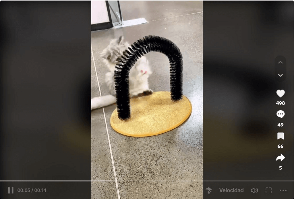 TikTok Cat Toy Ad