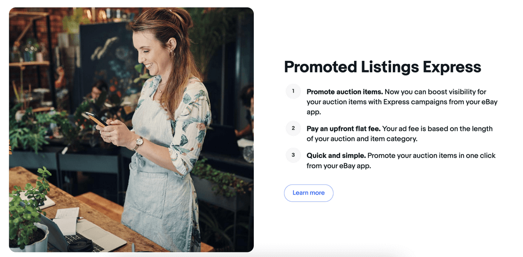 eBay promoted listings